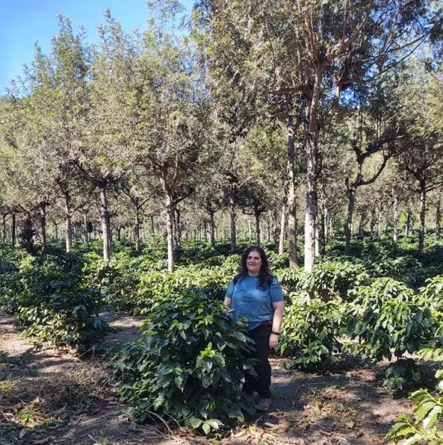 Jody Fulcher Dennett, co-owner of Monroe Coffee Co., standing among coffee plants on a coffee farm